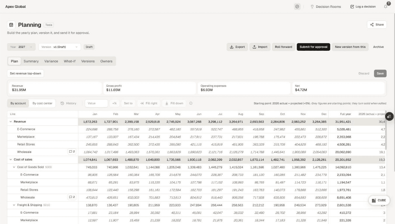 RubIQ Planning Hub budget grid by month and account (demo data)